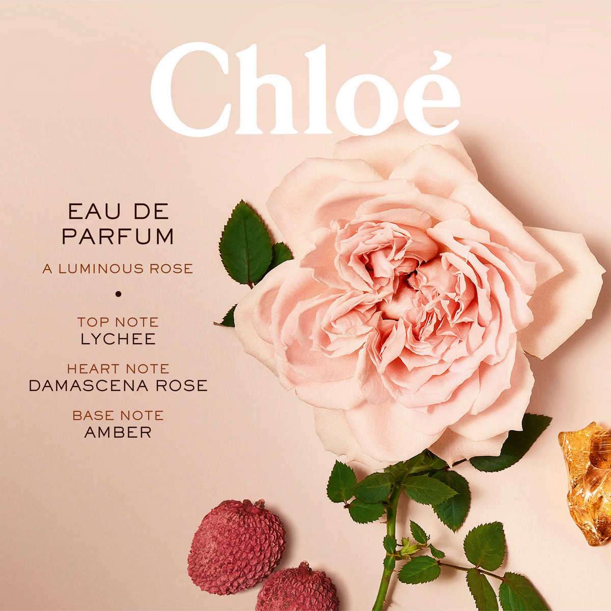 Buy Chloe Signature Eau de parfum for Women 75 ml Online at Best Price in India SSBeauty