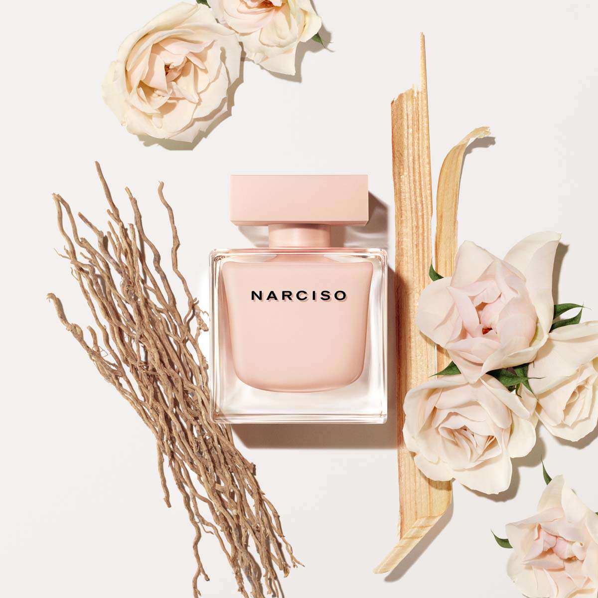 Narciso poudree 90 ml store