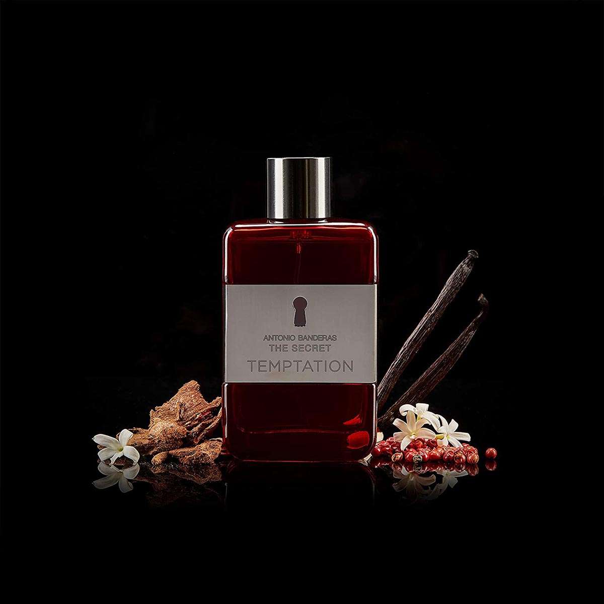 Banderas the secret temptation sales