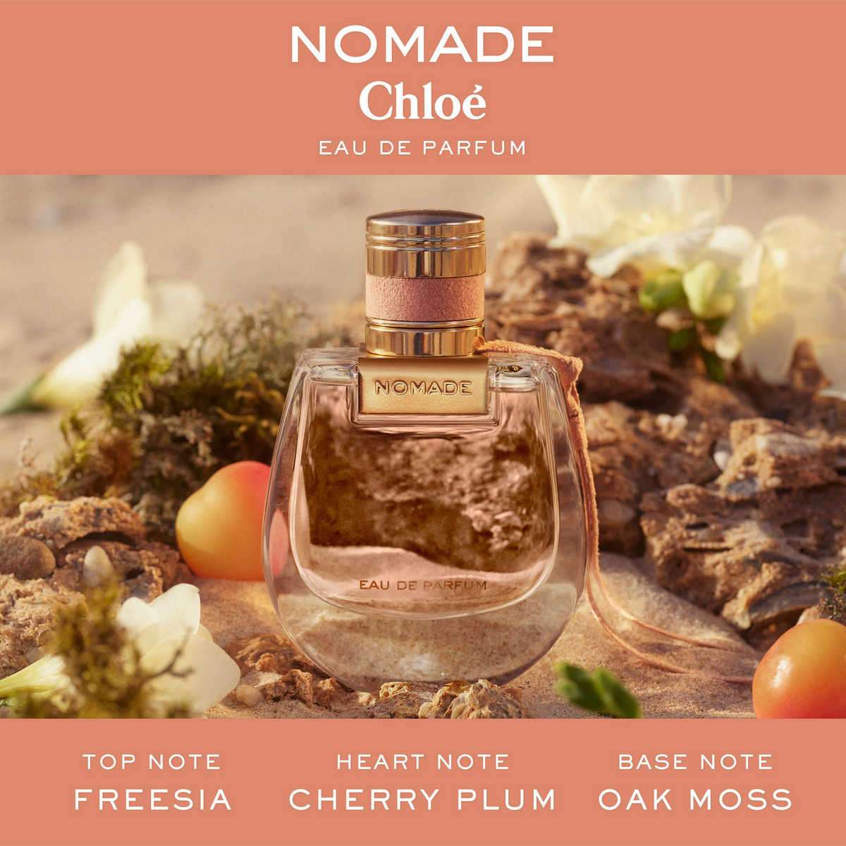 Buy Chloe Perfumes Nomade Eau De Parfum For Women 50 ml, Floral, Earthy  Woody EDP Online at Best Price in India SSBeauty
