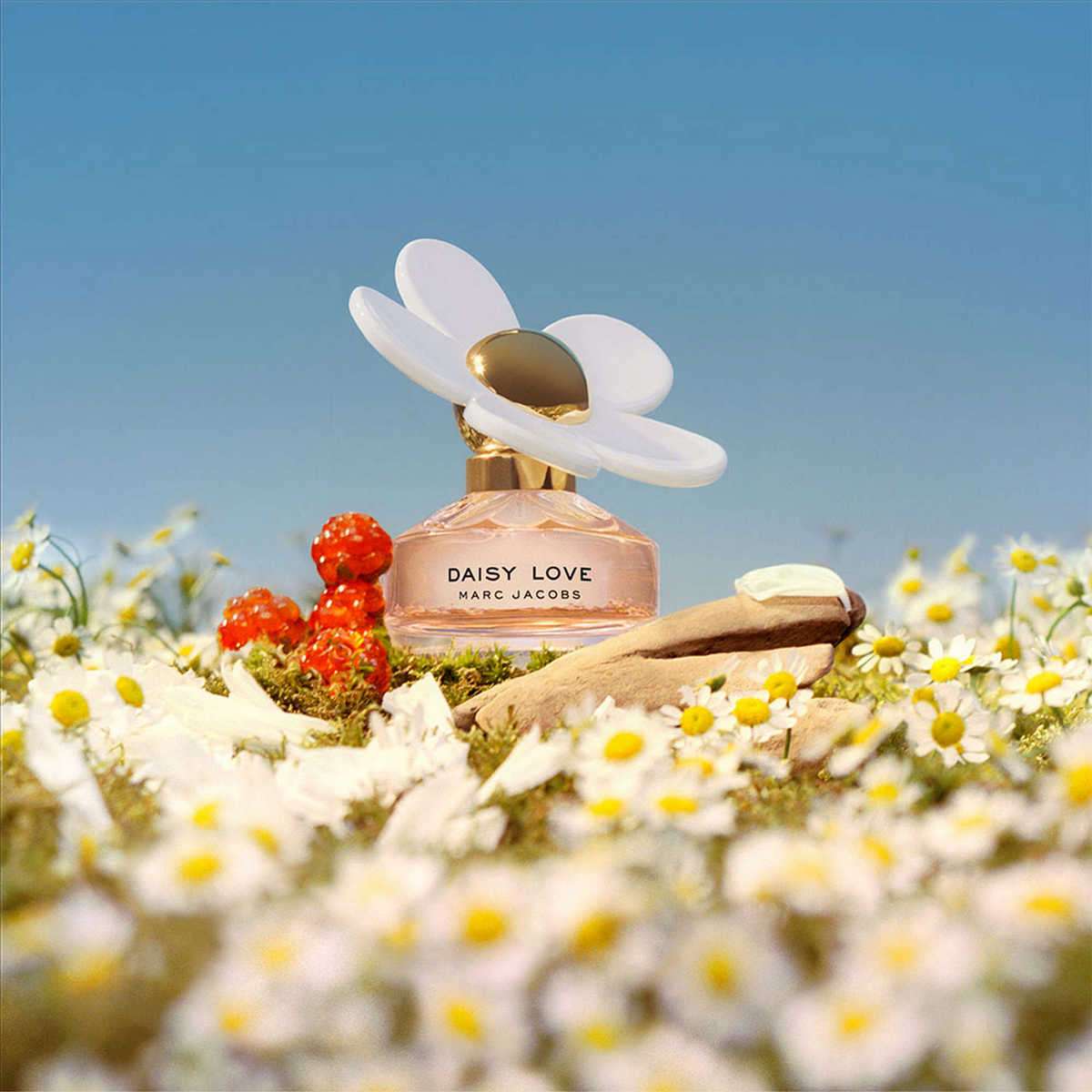 Daisy Glow Daisy Love Marc Jacobs Shoppers Marc Jacobs Daisy Love