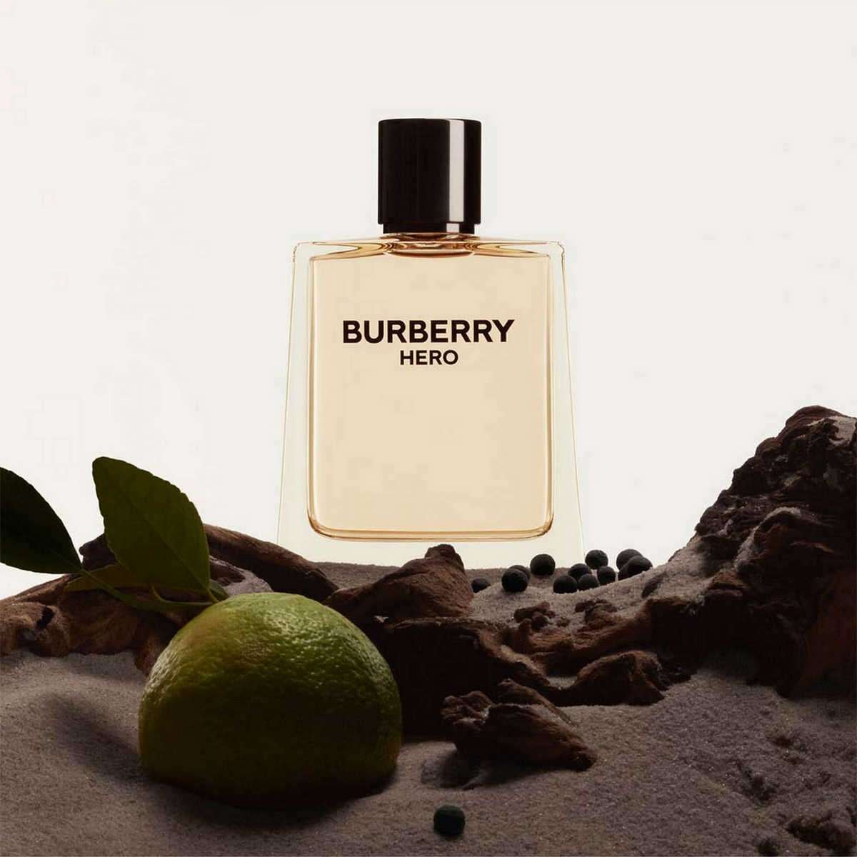Buy Burberry Hero Eau De Toilette for Men - 50 ml Online at Best