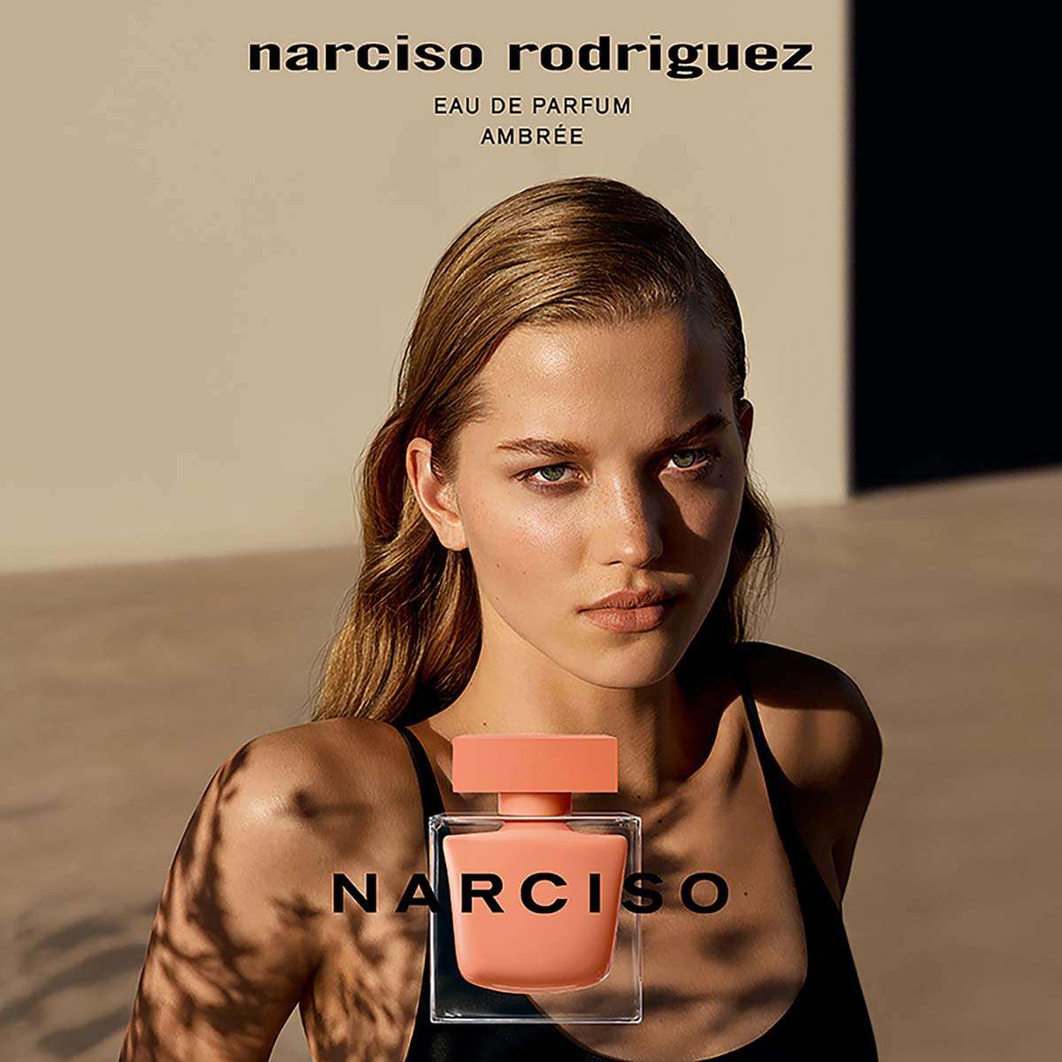 Ambre narciso on sale