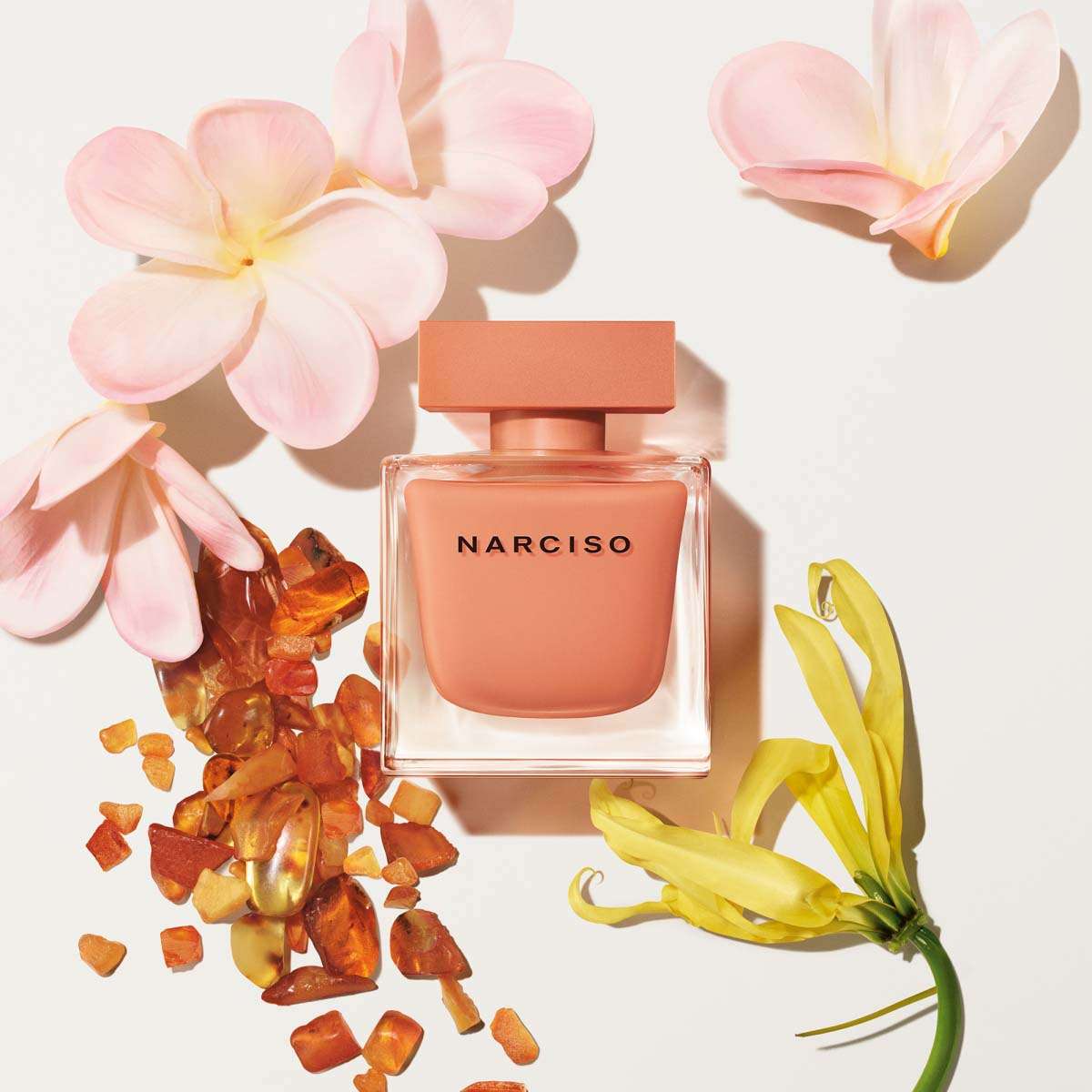Narciso ambree 90 ml clearance