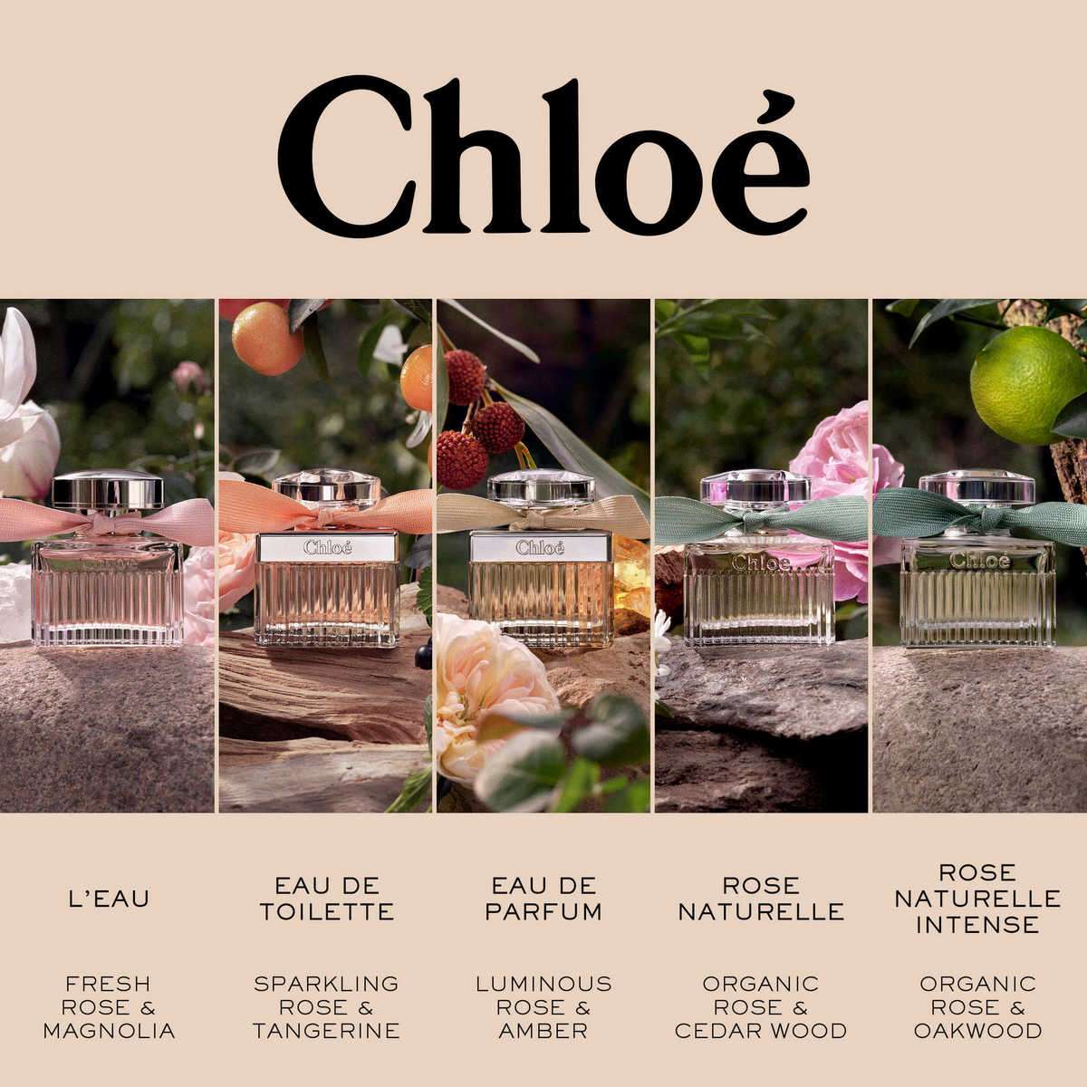 Buy Chloe L'Eau Eau De Toilette For Women - 100 ml, Floral, Fresh
