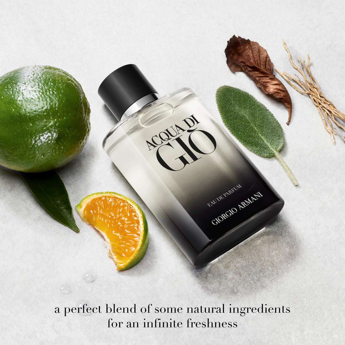 Buy Armani Acqua Di Gio Homme Eau De Parfum for Men - 100 ml