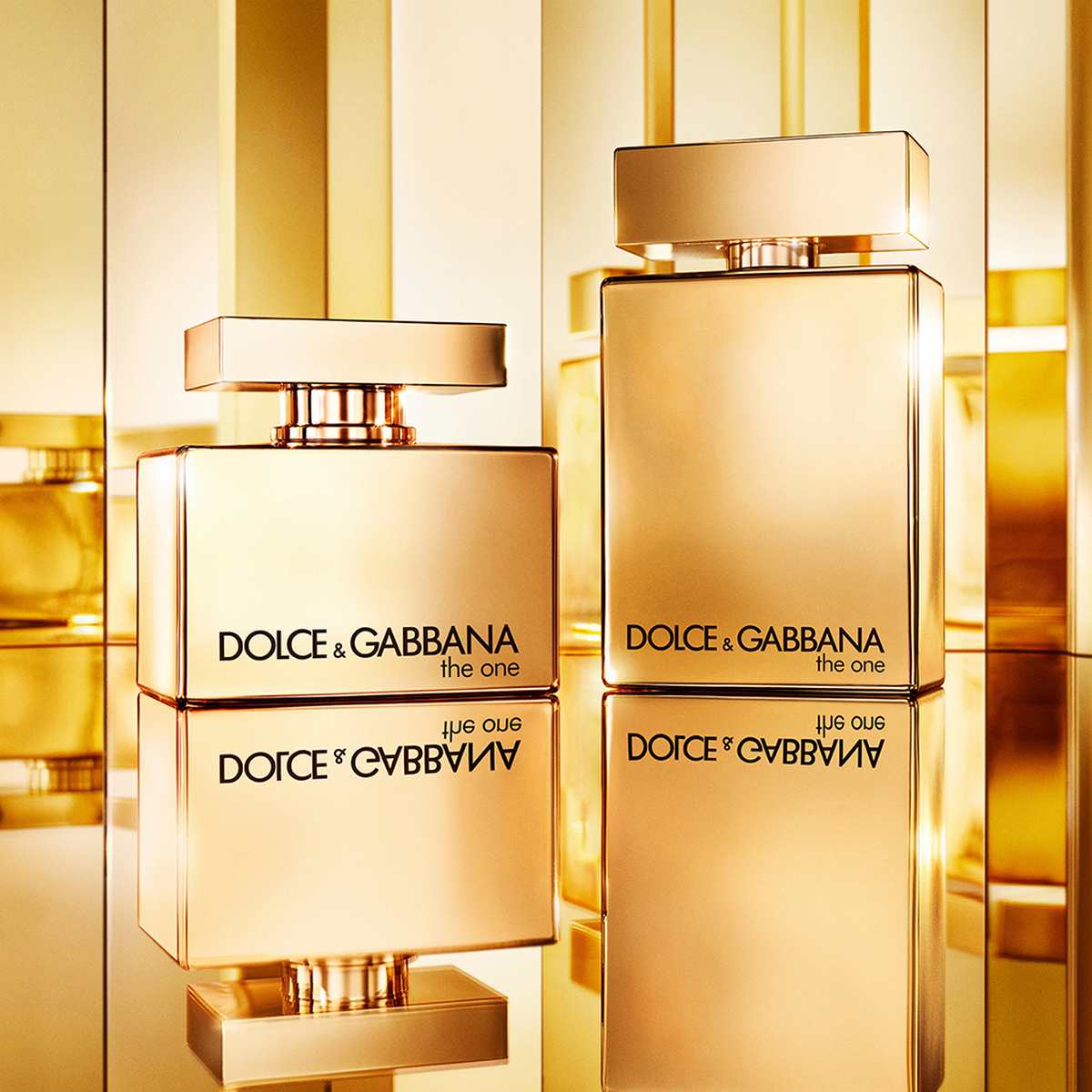 Buy Dolce&Gabbana The One for Men Gold Eau De Parfum Intense 50 ml Online  at Best Price in India SSBeauty