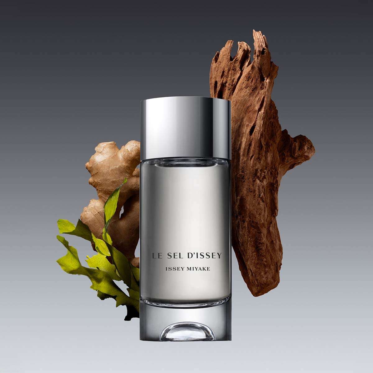 ISSEY MIYAKE LE SEL D'ISSEY 50ml Issey Miyake Le Sel D'Issey