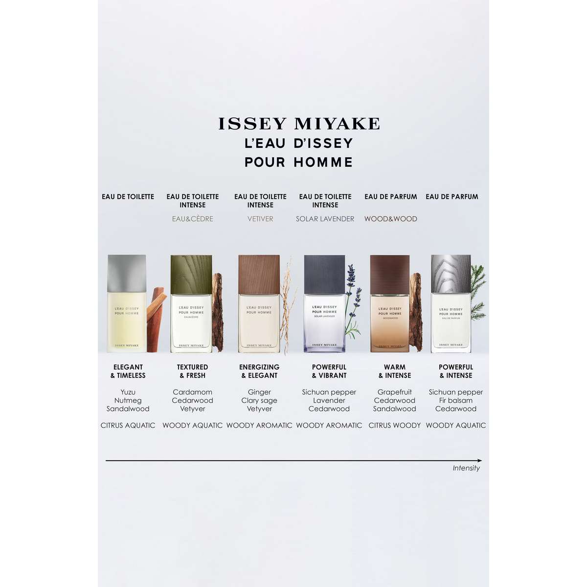 Buy Issey Miyake L'Eau d'Issey Pour Homme Eau de Parfum for Men