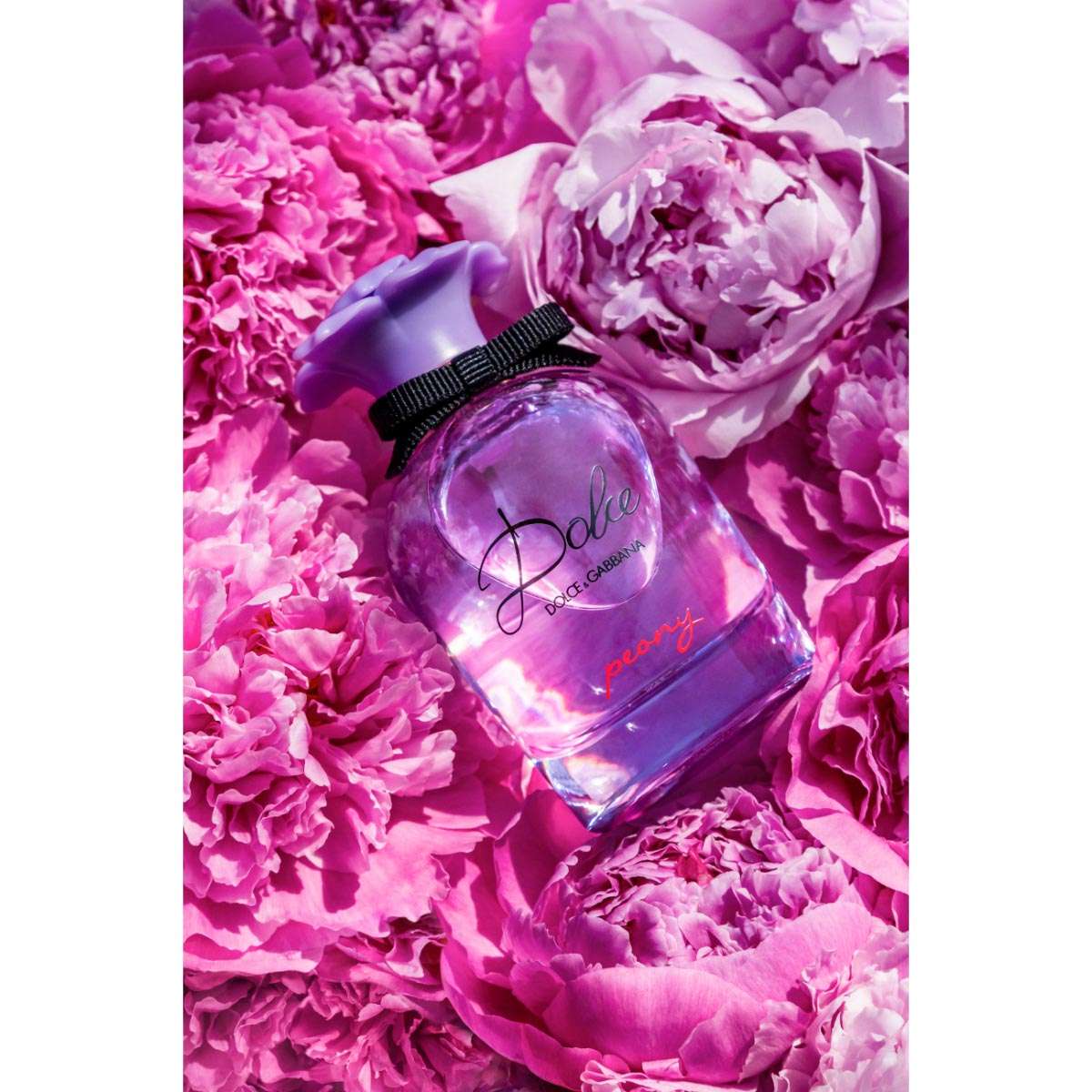 Dolce gabbana peony 75ml discount