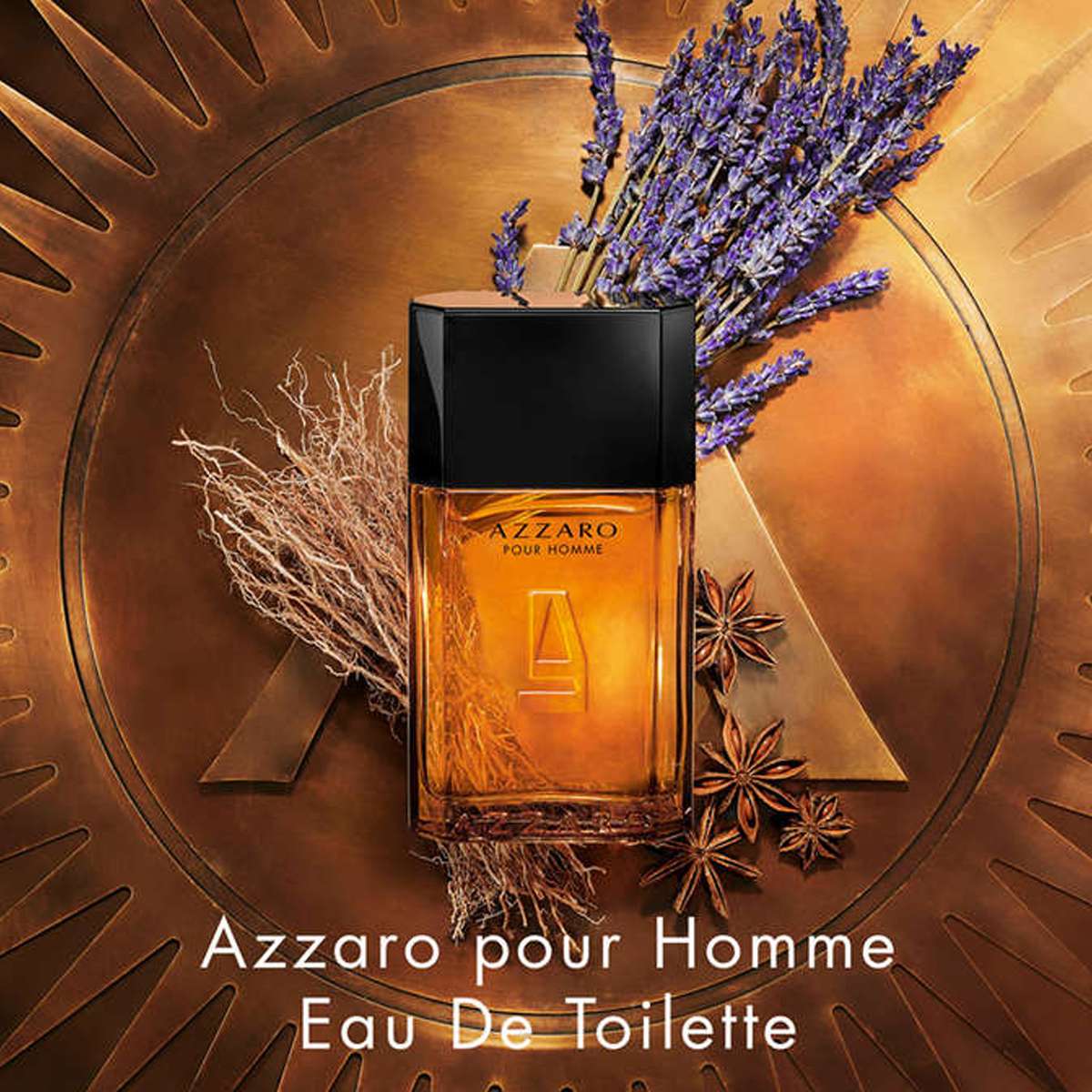 Buy Azzaro Pour Homme Eau De Toilette 100 ml, Fresh, Earthy Woody EDT  Online at Best Price in India SSBeauty