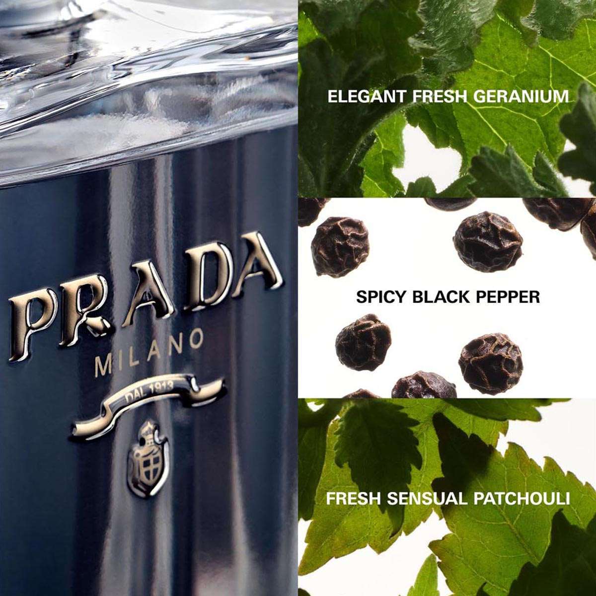 Buy Prada L'Homme Eau De Toilette - 100 ml Online at Best Price in