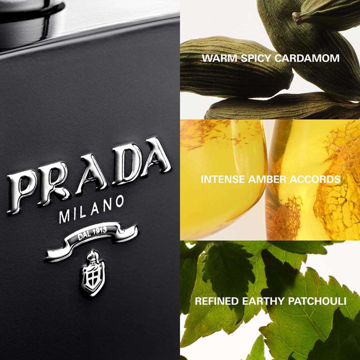 PRADA L'Homme Prada Intense 2個 (1個訳あり) Buy Prada L'Homme Intense Eau De Parfum - 100 ml Online at Best