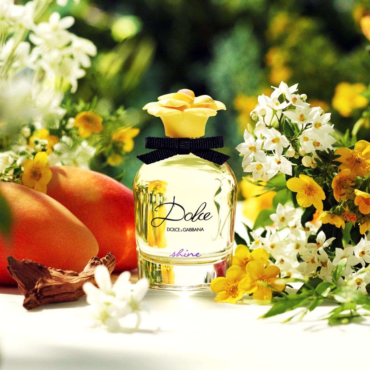 Dolce and gabbana 2025 shine perfume review
