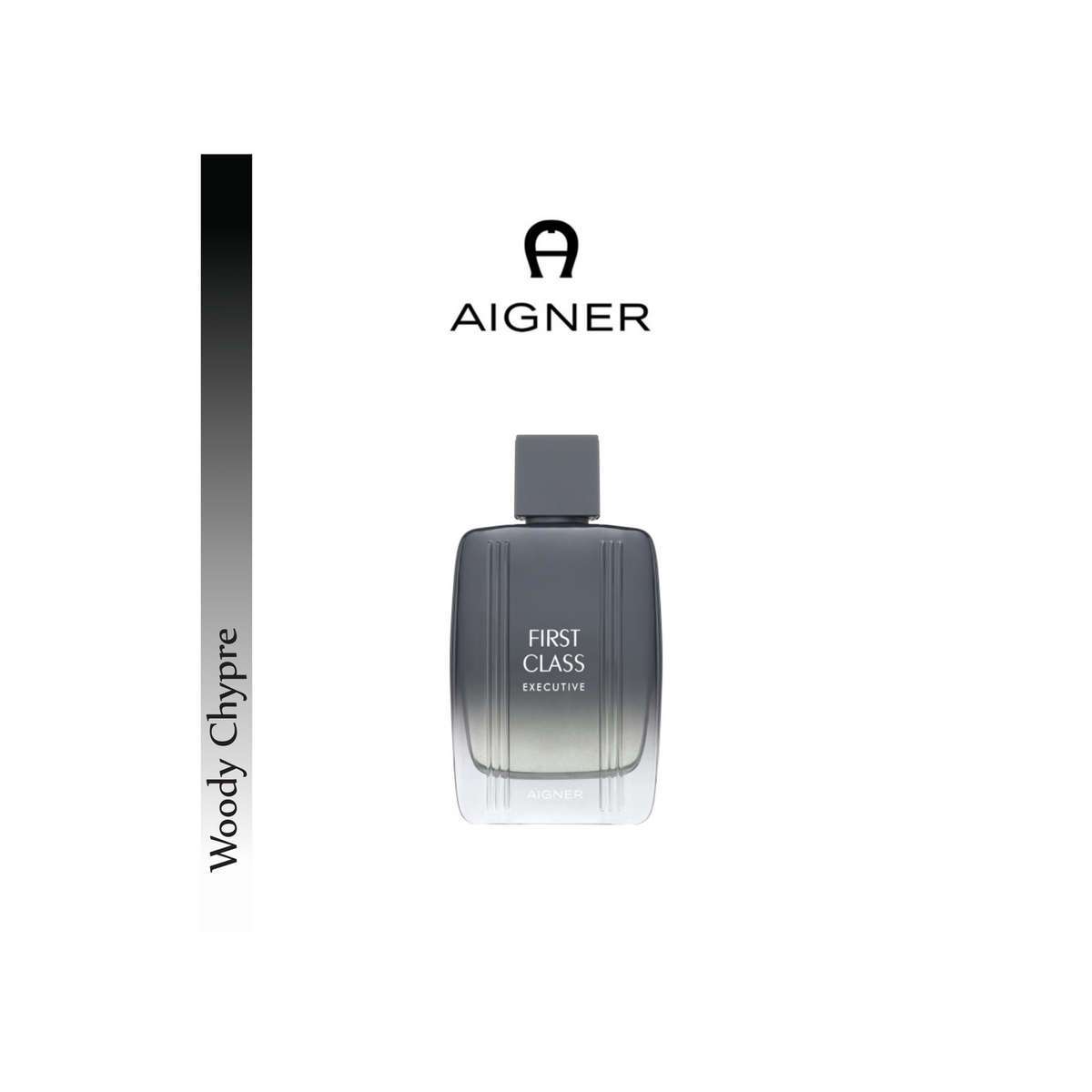 Buy AIGNER First Class Executive Eau de Toilette 100 ml Online