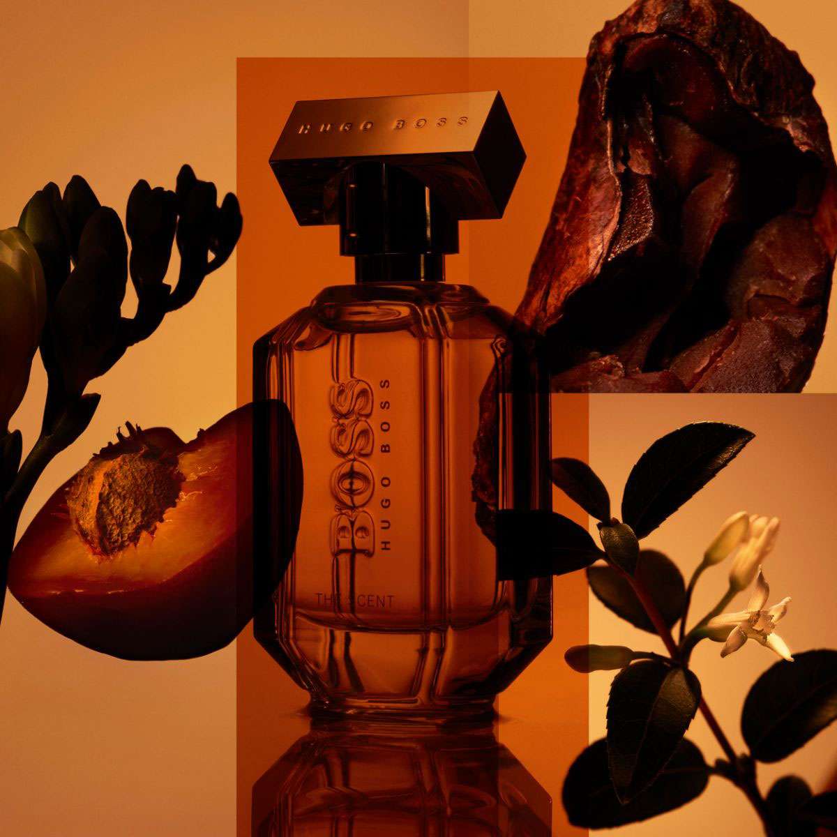 Hugo boss boss the scent for her private accord shop