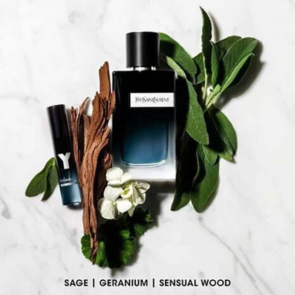 Yes yves saint hotsell laurent
