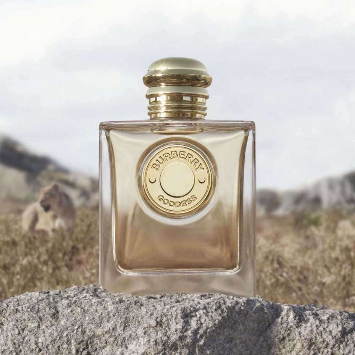 Buy Burberry Goddess Eau de Parfum for Women - 50 ml Online at