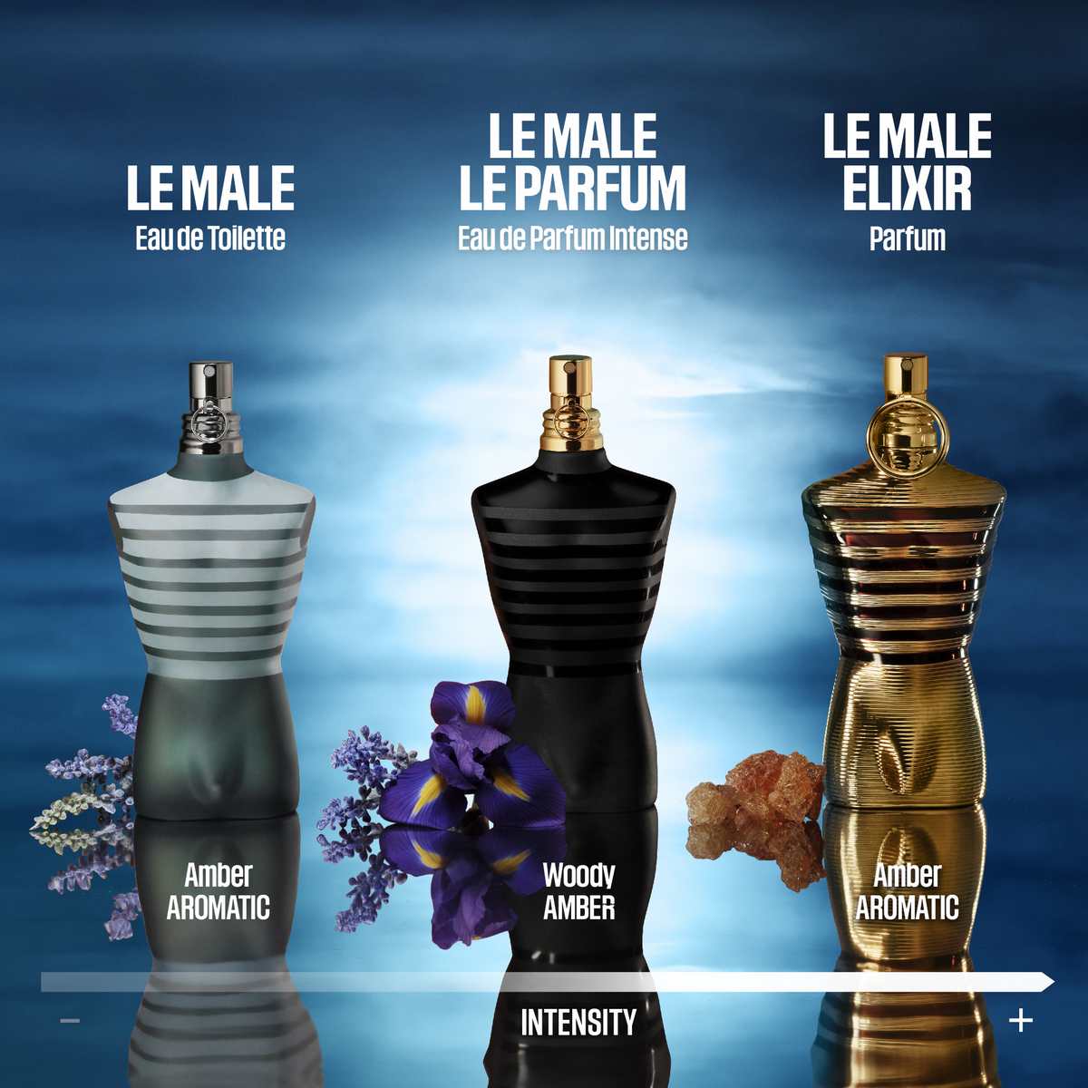 Perfume Jean Paul Gaultier Le Male Edt 75ml Buy Jean Paul Gaultier