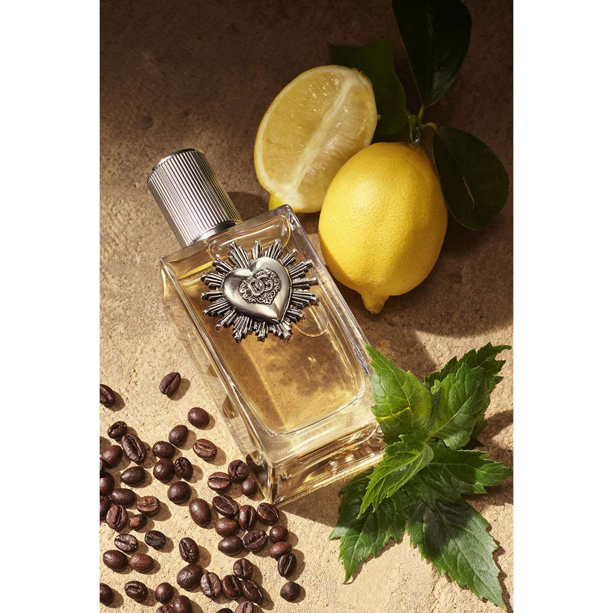 Buy Dolce&Gabbana Devotion Eau De Parfum for Men - 50 ml Online at