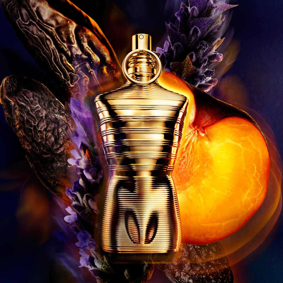 香水(男性用) Le Male Elixir Absolu 125ml Buy Le Male Elixir Absolu Parfum Intense - 125 ml Online at Best