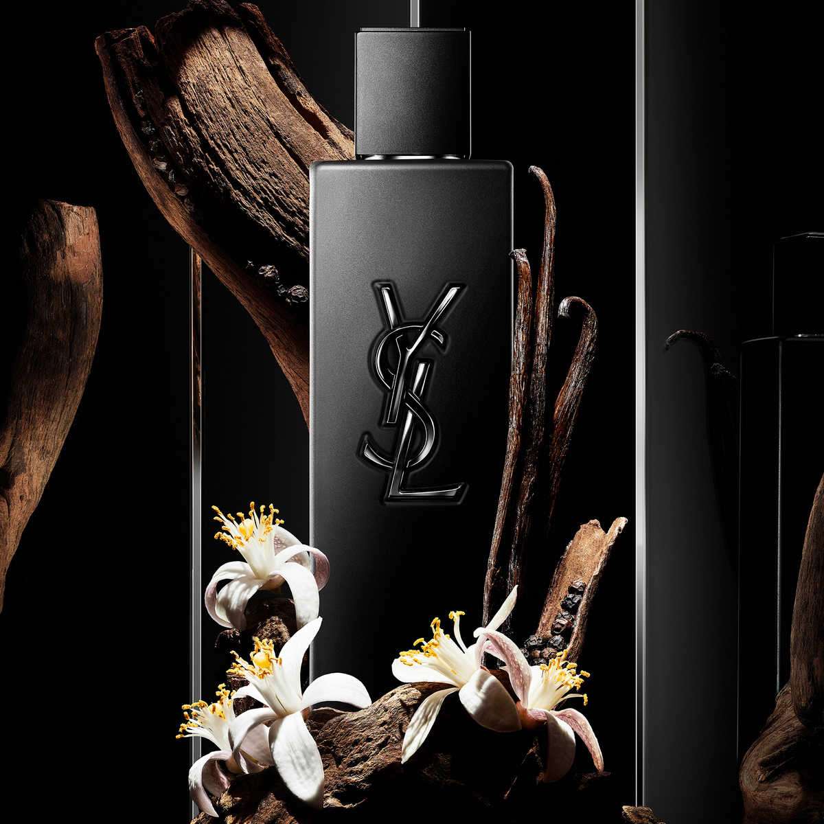 Buy Yves Saint Laurent Myslf Le Parfum for Men - 100 ml Online at