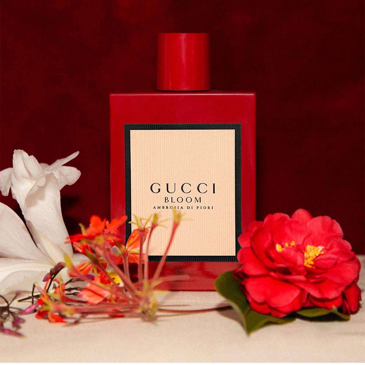 Buy Gucci Bloom Ambrosia Di Fiori Eau De Parfum Intense for Her