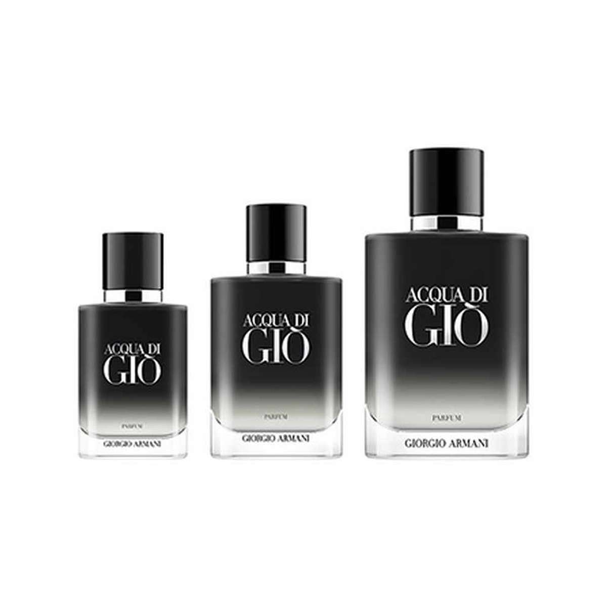 Buy Giorgio Armani Acqua Di Gio Parfum for Men - 100 ml Online at