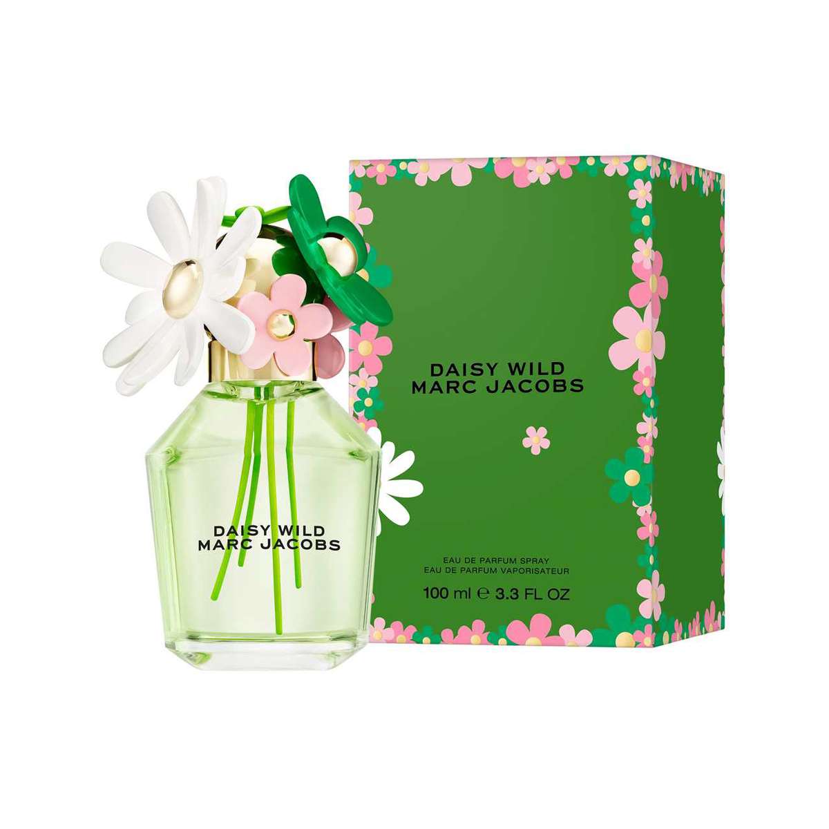 ※Daisy JIGNISHA SEEDS Daisy White Flower Seeds For Rainy Season Pack Of