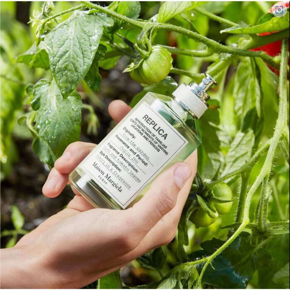 香水(ユニセックス) Maison Margiela From the garden 100ml Buy Maison Margiela From The Garden Eau De Toilette - 100 ml